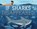 If Sharks Disappeared, Lily Williams - Gebonden - 9781626724136