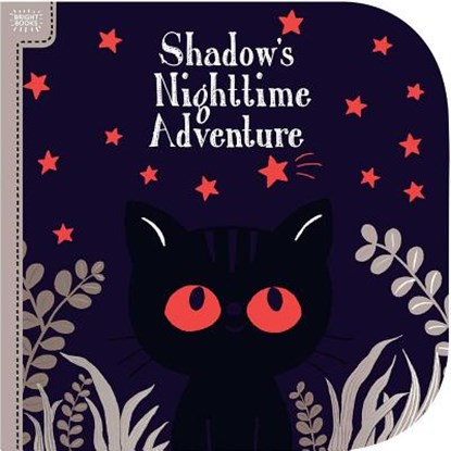 Shadow's Nighttime Adventure, ROTH,  Megan - Gebonden - 9781626867154