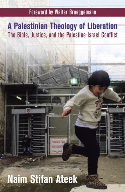 A Palestinian Theology of Liberation, Naim Stifan Ateek - Paperback - 9781626982604