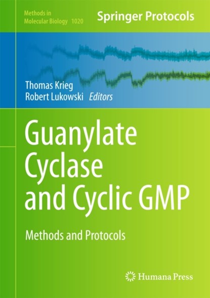 Guanylate Cyclase and Cyclic GMP, niet bekend - Gebonden - 9781627034586