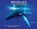 Whales, Shannon Hale - Paperback - 9781627165693