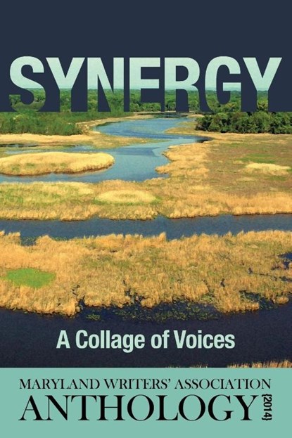 Synergy, Maryland Writers Association - Paperback - 9781627200899