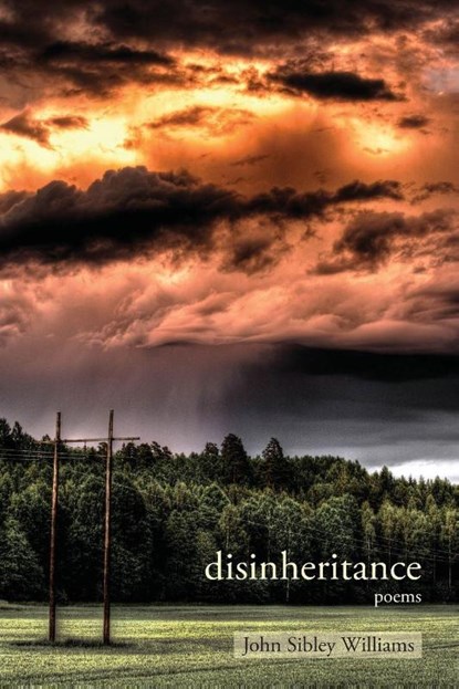 Disinheritance, John Sibley Williams - Paperback - 9781627201315