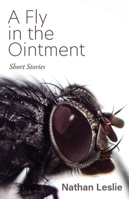 A Fly in the Ointment, Nathan Leslie - Paperback - 9781627204668