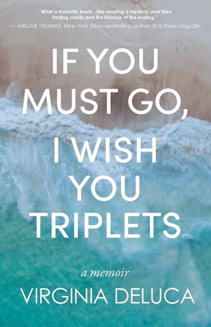 If You Must Go, I Wish You Triplets, Virginia DeLuca - Paperback - 9781627205559