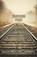 Vanishing Point, Ellen Prentiss Campbell - Paperback - 9781627206877