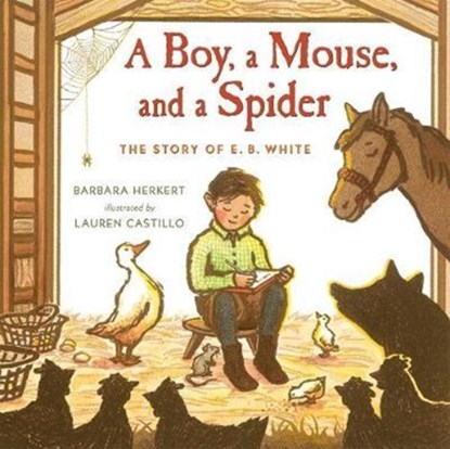 A Boy, a Mouse, and a Spider, Barbara Herkert - Gebonden - 9781627792455