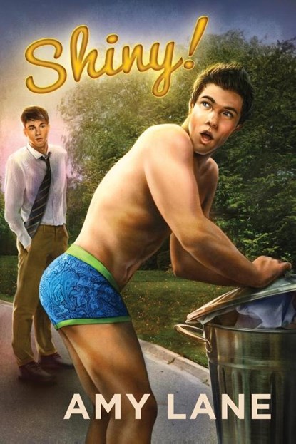 Shiny!, Amy Lane - Paperback - 9781627986540