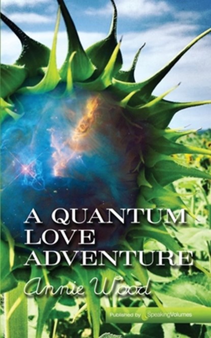 A Quantum Love Adventure, Annie Wood - Paperback - 9781628159868