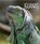 Iguanas, Melissa Gish - Paperback - 9781628321685