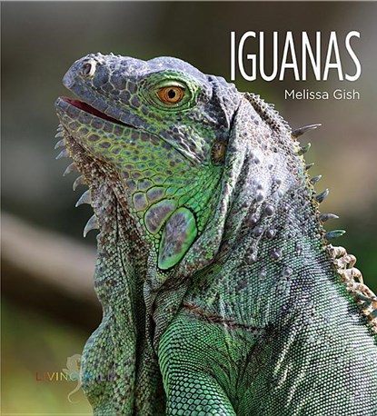 Iguanas, Melissa Gish - Paperback - 9781628321685
