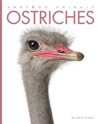 Ostriches, Kate Riggs - Paperback - 9781628324969