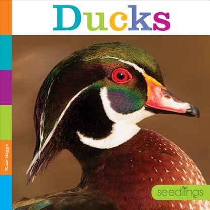 Ducks, Kate Riggs - Paperback - 9781628325973