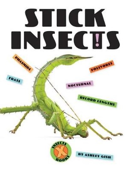 Stick Insects, Ashley Gish - Paperback - 9781628326208