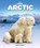 In the Arctic, Laura K. Murray - Paperback - 9781628326475