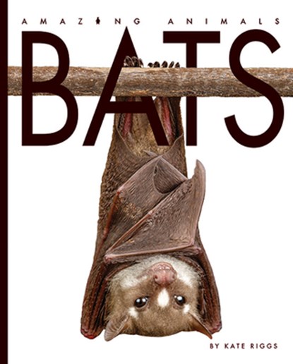 Bats, Valerie Bodden - Paperback - 9781628327670