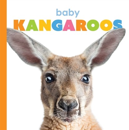 Baby Kangaroos, RIGGS,  Kate - Paperback - 9781628328127