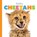 Baby Cheetahs, RIGGS,  Kate - Paperback - 9781628328783