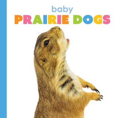 Baby Prairie Dogs, Kim Thompson - Paperback - 9781628329551