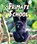 Primate School, Jennifer Keats Curtis - Gebonden - 9781628555554