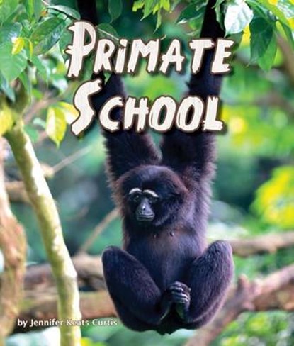 Primate School, CURTIS,  Jennifer Keats - Gebonden - 9781628555554