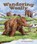 Wandering Woolly, GABRIEL,  Andrea - Paperback - 9781628555677