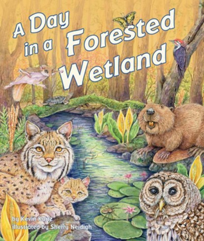A Day in a Forested Wetland, Kevin Kurtz - Paperback - 9781628559132