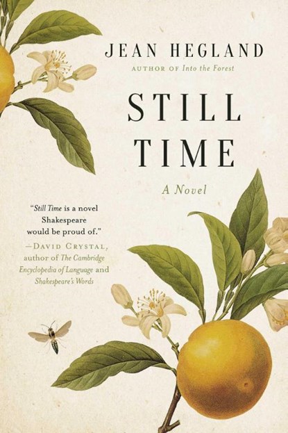Hegland, J: Still Time, Jean Hegland - Paperback - 9781628728217