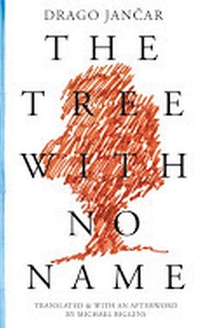 The Tree with No Name, Drago Jancar - Paperback - 9781628970548