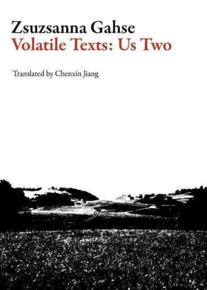 Volatile Texts: Us Two, Zsuzsanna Gahse - Paperback - 9781628971361
