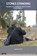 Stones Standing, Anna Kallen - Gebonden - 9781629580982