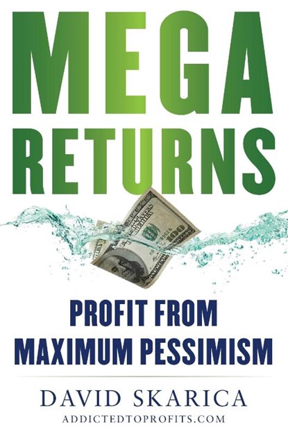 Mega Returns, David Skarica - Gebonden - 9781630062729
