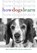 How Dogs Learn, Mary R. Burch - Gebonden - 9781630260385