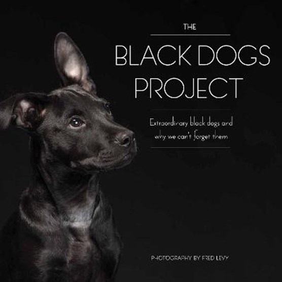 The Black Dogs Project