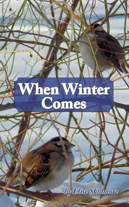 When Winter Comes, Elise Skidmore - Ebook - 9781631070730
