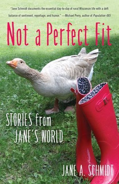Not a Perfect Fit, Jane A. Schmidt - Ebook - 9781631522079