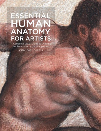 Essential Human Anatomy for Artists, Ken Goldman - Paperback - 9781631599590
