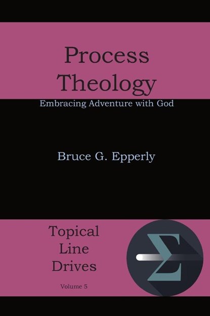 Process Theology, Bruce G Epperly - Paperback - 9781631990021