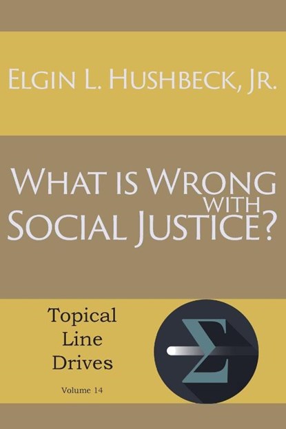 What Is Wrong with Social Justice, Elgin L Hushbeck - Paperback - 9781631990830