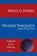 Process Theology and Politics, Bruce G Epperly - Paperback - 9781631996245