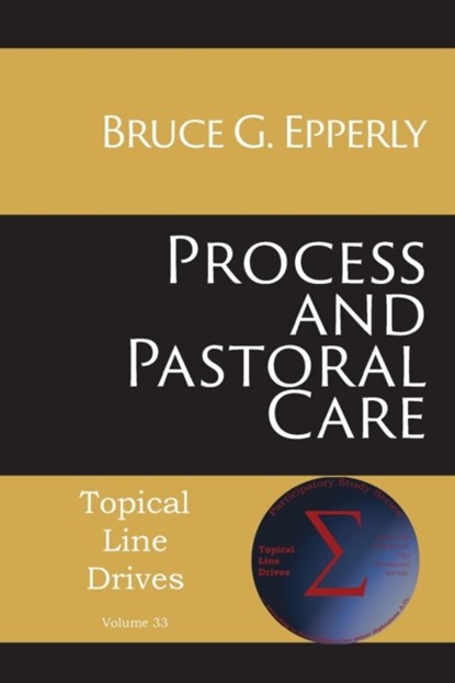 Process and Pastoral Care, Bruce G Epperly - Paperback - 9781631996443