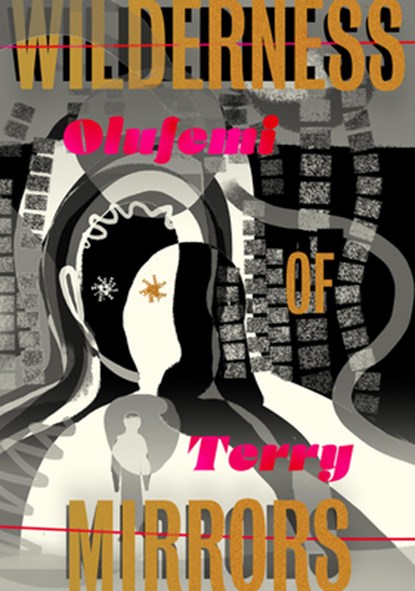Wilderness of Mirrors, Olufemi Terry - Paperback - 9781632063984
