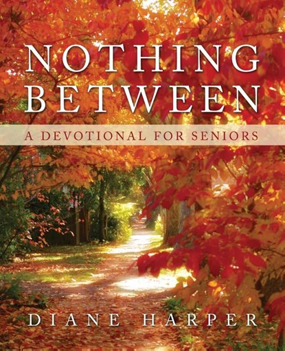 Nothing Between, Diane Harper - Paperback - 9781632329400