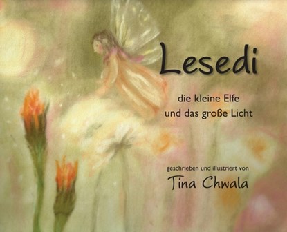 Lesedi die kleine Elfe und das große Licht, Tina Chwala - Gebonden - 9781632331939