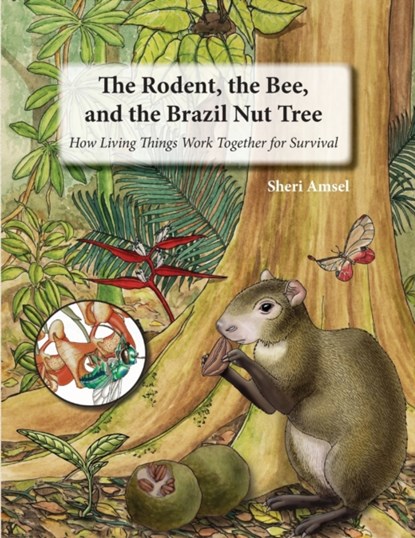 The Rodent, the Bee, and the Brazil Nut Tree, Sheri Amsel - Paperback - 9781632333223