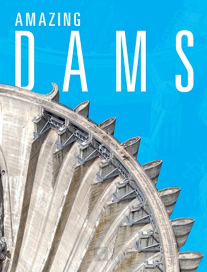 Amazing Dams, Joanne Mattern - Gebonden - 9781632357892
