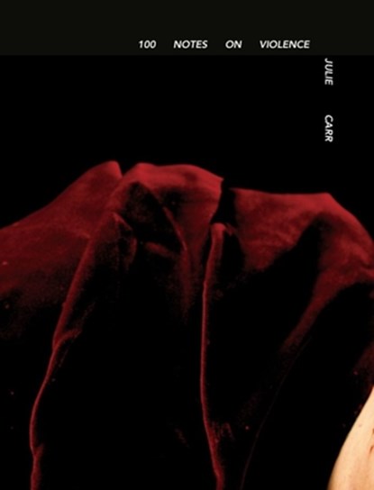 100 Notes on Violence, Julie Carr - Paperback - 9781632431097