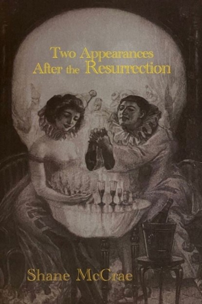 Two Appearances After the Resurrection, Shane McCrae - Paperback - 9781632431721