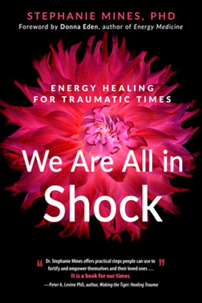 We are All in Shock, Stephanie (Stephanie Mines) Mines - Paperback - 9781632651952