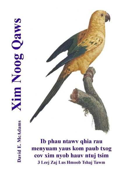 Xim Noog Qaws, David E. McAdams - Paperback - 9781632706331